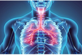 Pulmonary Medicine